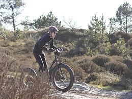 Detached Holiday Home in Schoorl With Garden