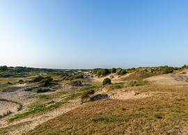 Nice House with Large Garden in Noordwijk & near Sea