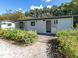 Comfort Chalet in the Dune Area