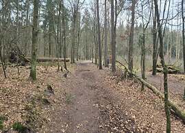 Chalet Near Trails & Forest