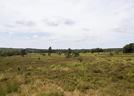 Chalet Near Trails & Forest