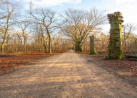 Chalet Near Trails & Forest