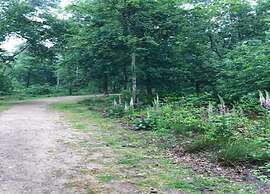 Chalet Near Trails & Forest