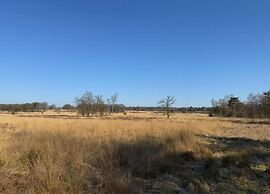 Chalet Near Trails & Forest