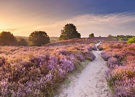 Chalet Near Trails & Forest