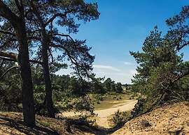 Chalet Near Trails & Forest