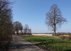 Stylish Villa in Bemelen