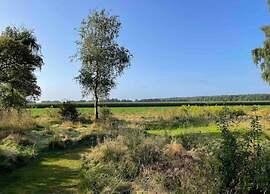 Cosy Chalet With Combi-microwave, Next to a Nature Reserve
