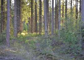 Cosy Chalet With Combi-microwave, Next to a Nature Reserve