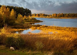 Cosy Chalet With Combi-microwave, Next to a Nature Reserve