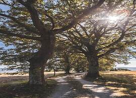 Belvilla by OYO Tarugi