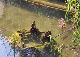 Belvilla by OYO Baia Domizia Villaggio Camping C4