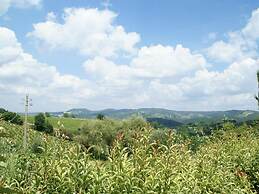 Holiday Apartment With Shared Pool in Chianti