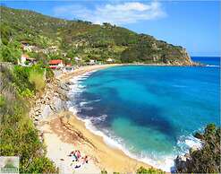 Holiday Apartment With Shared Pool in Chianti