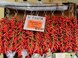 Belvilla by OYO Zaccano