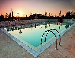 Modern Apartment With Pool in Chianti