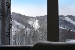 Wintergreen Condos