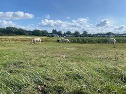 4 Star Holiday Home in Nordborg