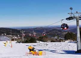 Apartment in the Hochsauer Region Quiet Location