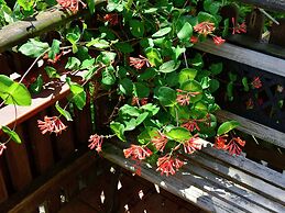 Apartment in the Hochsauer Region Quiet Location