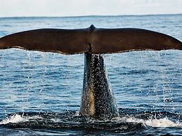 6 Person Holiday Home in Hennes