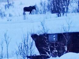 5 Person Holiday Home in Straumsbukta-by Traum