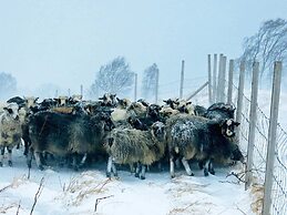 6 Person Holiday Home in Alsvag-by Traum