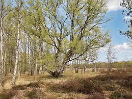 Comfortablle Holiday Home in Nordjylland near Sea