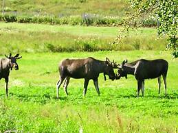 6 Person Holiday Home in Hamnvik