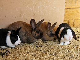 6 Person Holiday Home in Hamnvik