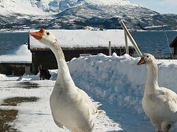 6 Person Holiday Home in Hamnvik