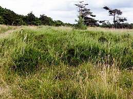 5 Star Holiday Home in Vejby