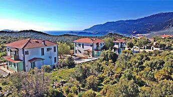 Lacitrus Villa Hotel