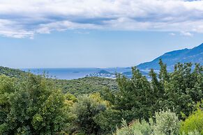 Lacitrus Villa Hotel