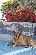 Phaos Santorini Suites