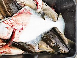 6 Person Holiday Home in Rebbenes