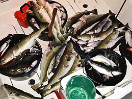 7 Person Holiday Home in Breivikbotn