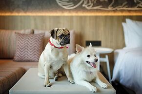 Hyatt Centric Soalteemode Kathmandu