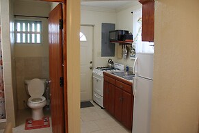 Fishtail Palms Exuma