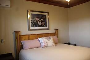 Fishtail Palms Exuma