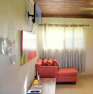 Fishtail Palms Exuma