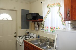 Fishtail Palms Exuma