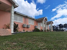 Fishtail Palms Exuma