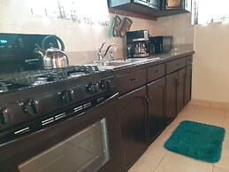 Fishtail Palms Exuma