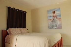 Fishtail Palms Exuma