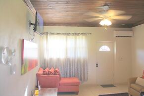 Fishtail Palms Exuma