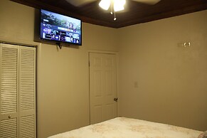 Fishtail Palms Exuma