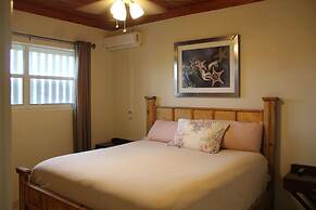 Fishtail Palms Exuma