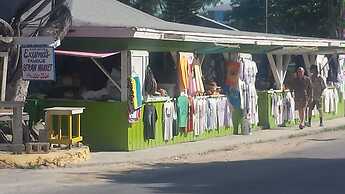 Fishtail Palms Exuma