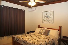 Fishtail Palms Exuma